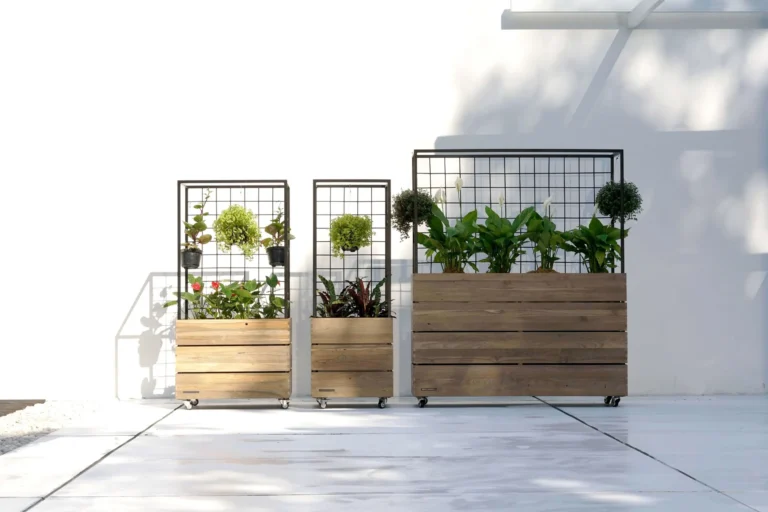 aiko planter scaled.jpg