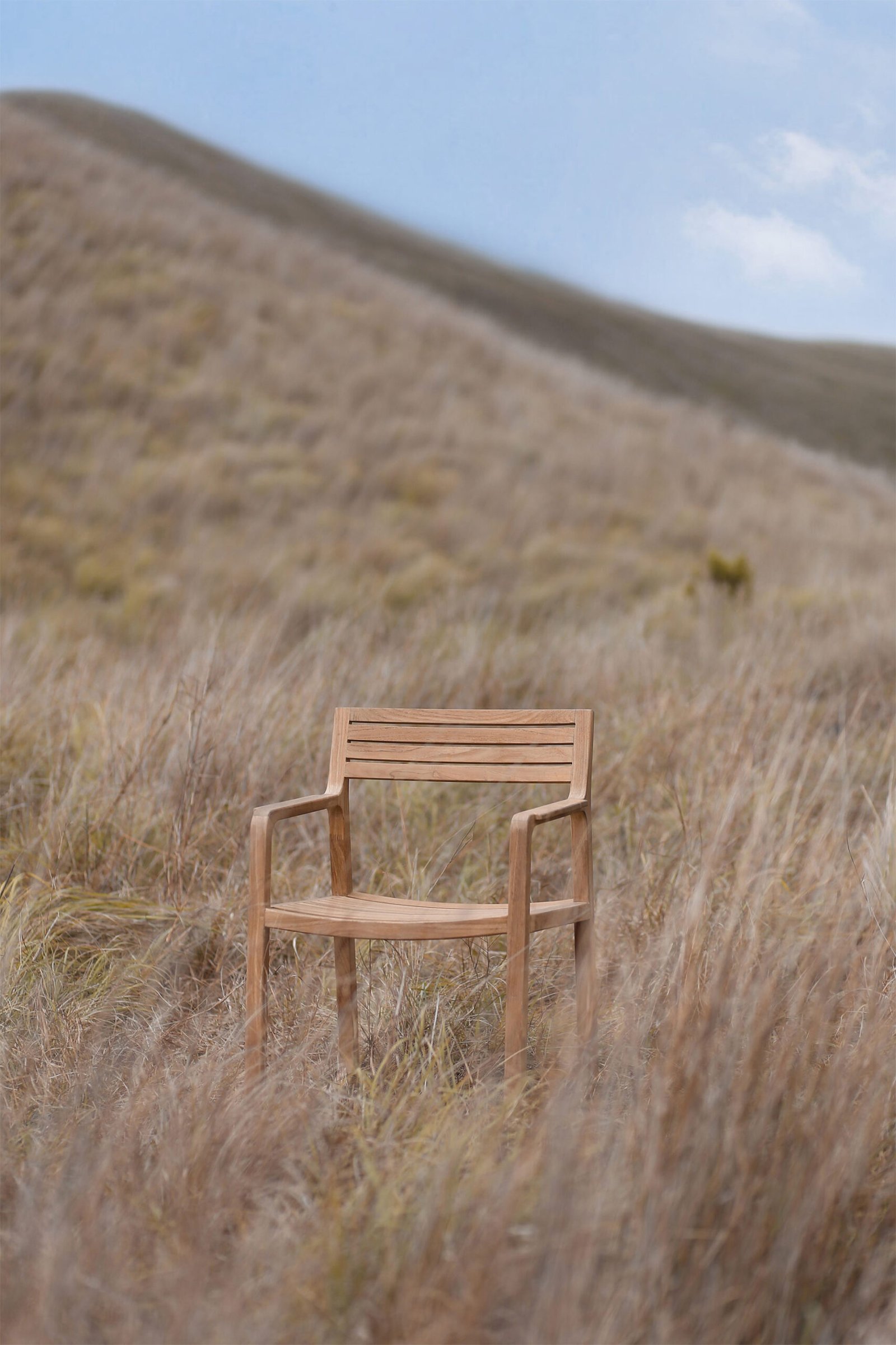estate dining chair 3 scaled