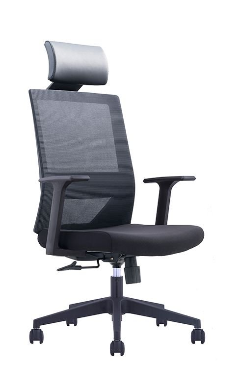 forio task chair with headrest