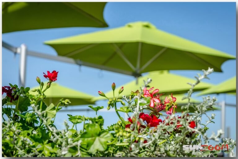 paraflex umbrella baltic beach 1 lr