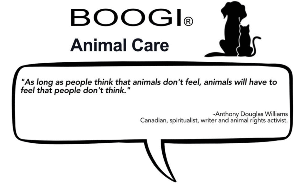 boogi animal care